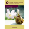 Siembra y trasplante de cultivos horticolas y flor cortada - UF0014