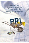 Auditor&iacute;a de Prevenci&oacute;n de Riesgos Laborales 