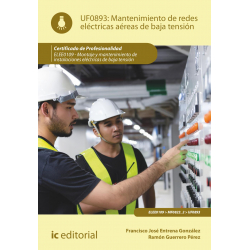 Mantenimiento de redes eléctricas aéreas de baja tensión. UF0893 (2ª Ed.)