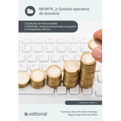 Gestión operativa de tesorería MF0979_2