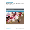 SEA_A_1698_03. Identificación de los diferentes grupos de invertebrados