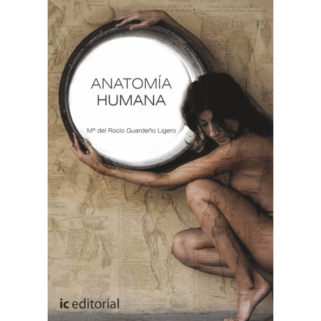 Anatomia humana
