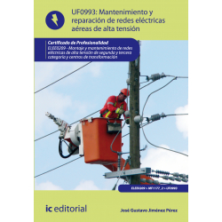 Mantenimiento de redes eléctricas aéreas de alta tensión UF0993