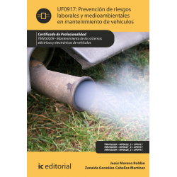 Prevención de riesgos laborales y medioambientales en mantenimiento de  vehículos UF0917