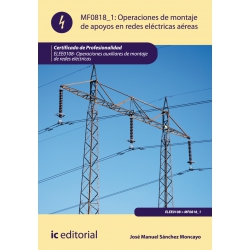 Operaciones de montaje de apoyos en redes electricas aereas. ELEE0108 