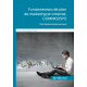 Fundamentos del plan de marketing en internet. COMM025PO